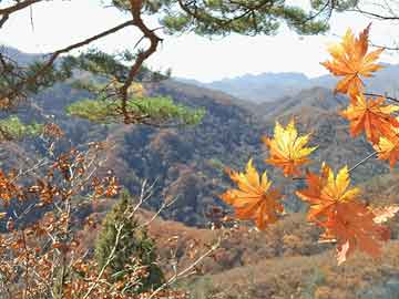 去重庆古镇旅游攻略,去重庆古镇旅游攻略一日游